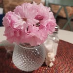 Jay Chatman - @jayric2019 - Instagram