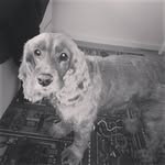 Jay Check - @realjay1985 - Instagram
