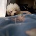 Jay Chung - Facebook
