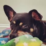 Jay Church - @thejaychurch - Instagram