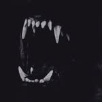 EVERYTHING WOLVES NEED TO HEAR - @jaycobb_1 - Instagram