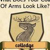 jaycolledge552 - @jaycolledge552 - TikTok