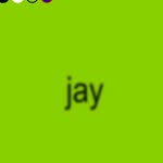 Jay Connelly - @everythingwithjay - Instagram