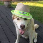 Jay Cool - @jaycool - Instagram