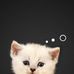 Jay Cortes - Facebook