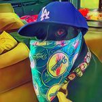 Jay Cote - @jaycote220 - Instagram