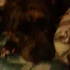 jaycote - @jaycote45 - TikTok