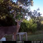 Jay Covert - @jay_covert - Instagram