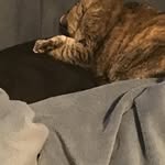 Jay Cowell - @jay_cowe01 - Instagram