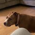 Jay Craig - Facebook