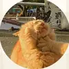 Jay - @jaycrain149 - TikTok