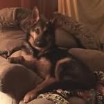 Jay Cranford - @cranford1664 - Instagram