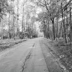 jay creek - @officialjaycreek - Instagram