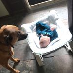 Jay Hauber - @jaycreek502 - Instagram