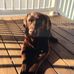 Jay Cronin - Facebook