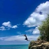 jaycronin488 - @jaycronin488 - TikTok
