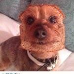 Jay Crooks - @jay_crooks_ - Instagram