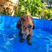 Jay Crotty - Facebook