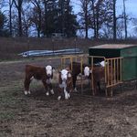 Jay Crow - @barc_ranch - Instagram