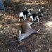 Jay Culpepper - Facebook