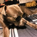 Jay Currie - @sparky19992085 - Instagram