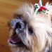 Jaynie Deaton - Facebook