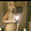 Jaydell Ortiz - @jaydell.ortiz - TikTok