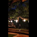Jay Dhruv - @jay_dhruv - Instagram