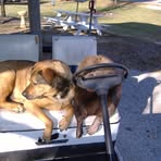 Jay Dillman - Facebook
