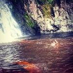 Jay Dobson - @dobski91 - Instagram