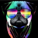 Jay Dobson Youtuber - @jaydobsonyoutuber - Instagram
