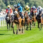 Year in the life of Beverley Races 2024 - @jaydobson70 - Instagram