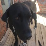 Jay Dougherty - @dougherty_jay - Instagram