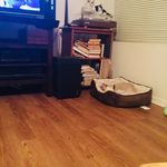 Jay dunlap - @jaydunlap7683 - Instagram