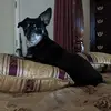 Jay Eckert - @jay.eckert1 - TikTok