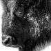 Jay Eckman - Facebook