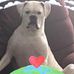 Jay Eckman - Facebook