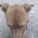 Jerry Essman - Facebook