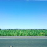 Jay Egan - @jay_egan5 - Instagram