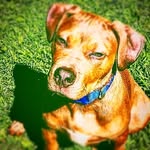 Jaydin Ellsworth - @jaydinellsworth - Instagram