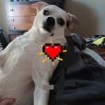 Jayme J Ellsworth - @jaymeellsworth - Instagram