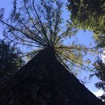 Jay Estes - @divinity_of_nature - Instagram
