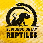 Jay Estrada - @el_mundo_de_jay.reptiles - Instagram