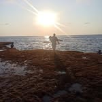 Jay Estrada - @jayestrada6854 - Instagram