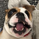 Gigi Falconer - @jay.falconer - Instagram