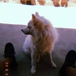 @jay_faustin_ - Instagram