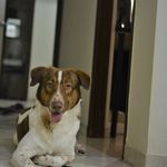 Jayant - @jayferro23 - Instagram