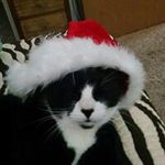Glen Jay Forman - @gforman - Instagram