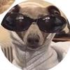 Jay Forrest - @j.4est - TikTok