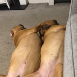 Jay Fowler - @jayfowler50 - Instagram